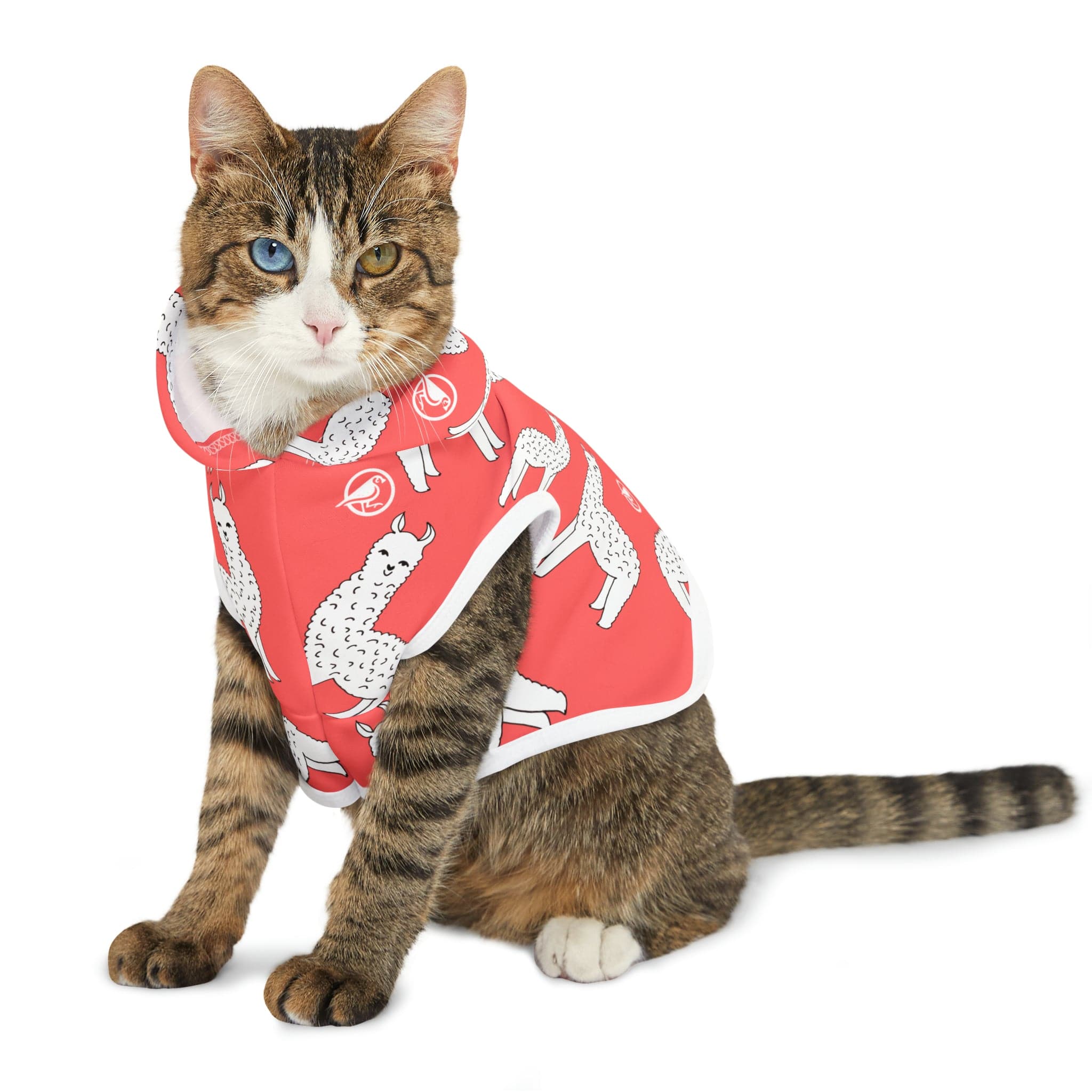 Hot Llama Pet Hoodie - Plover Robes