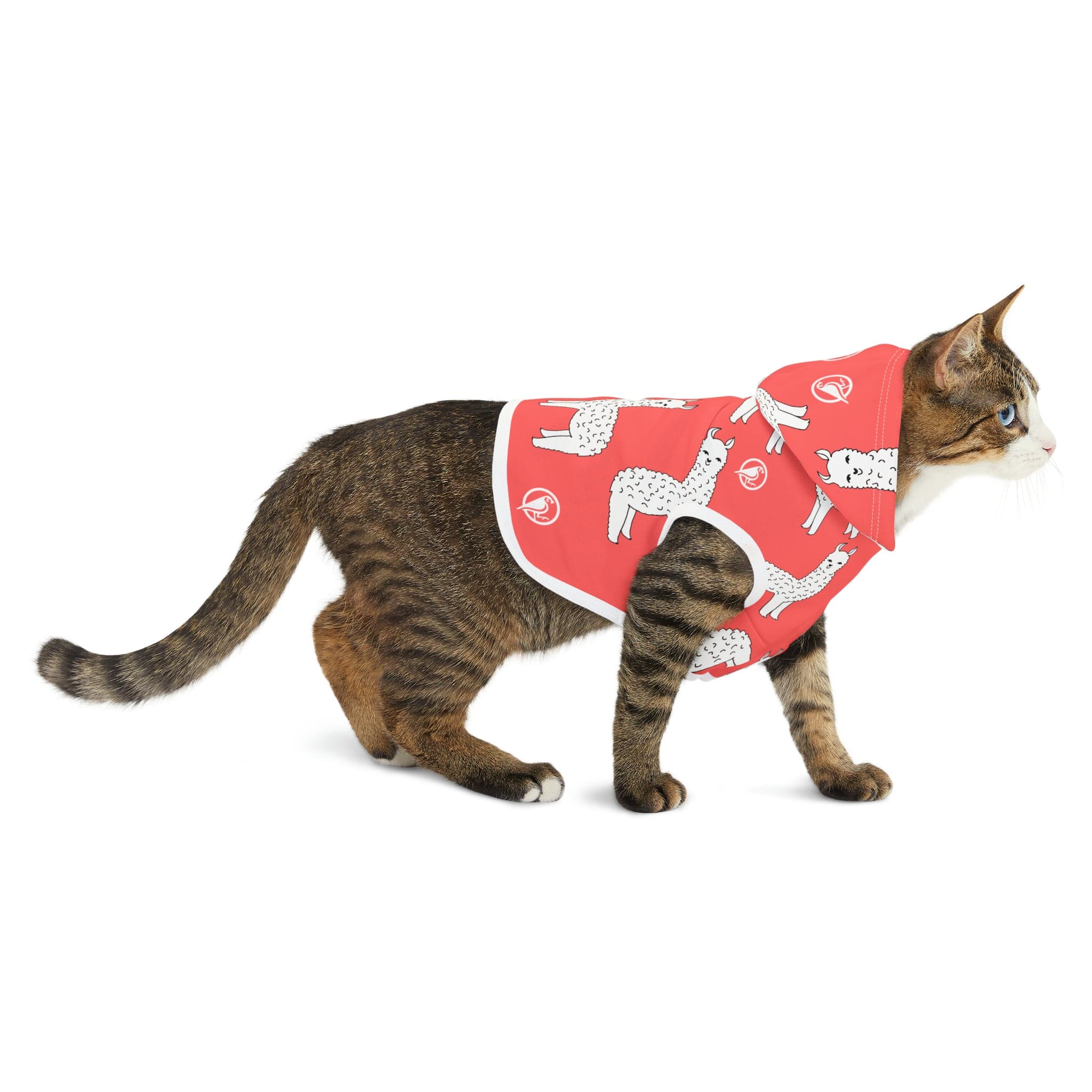Hot Llama Pet Hoodie - Plover Robes