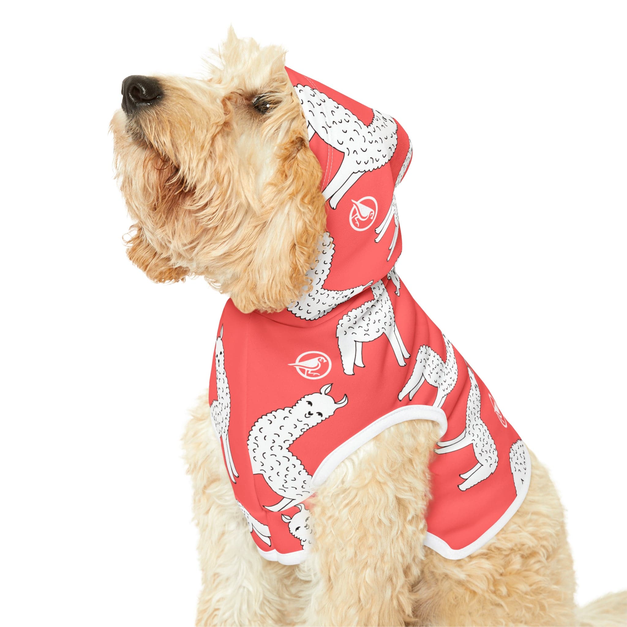 Hot Llama Pet Hoodie - Plover Robes
