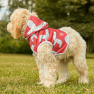 Hot Llama Pet Hoodie - Plover Robes